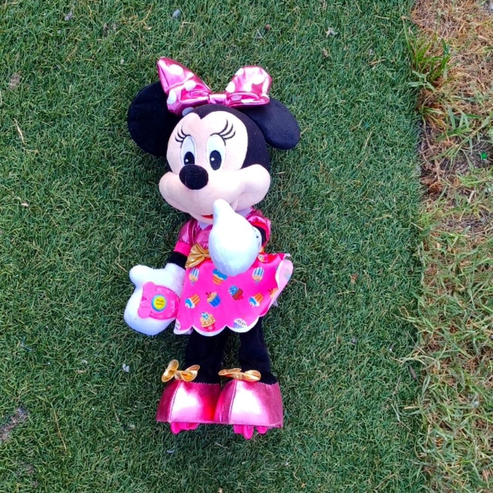 Party Minnie mouse